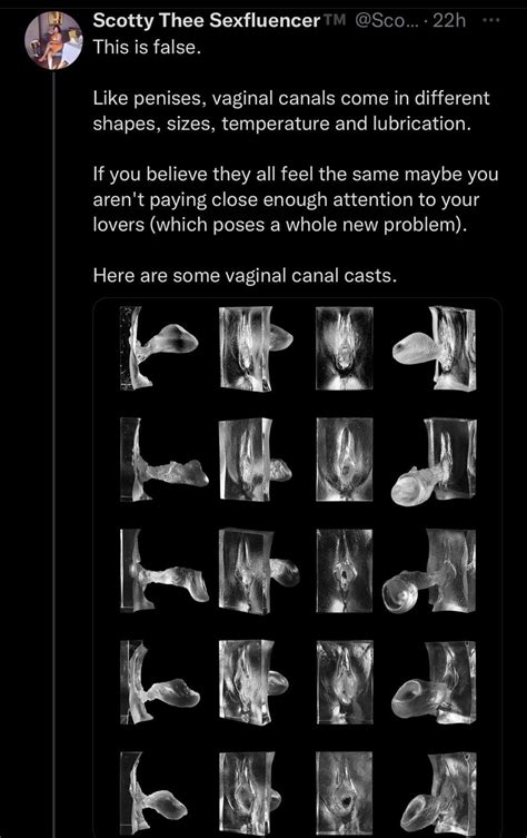 vagina nude|Lopsided Vagina: 9 Different Labia Shapes, Colors, and Sizes